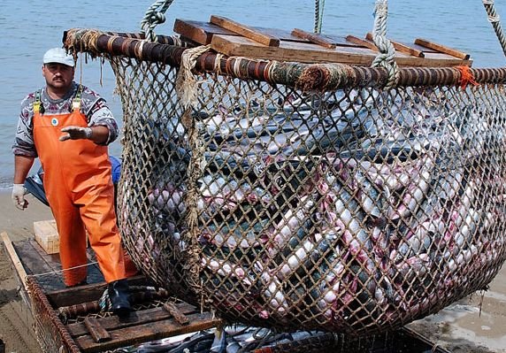 Крупнейший производитель рыбного филе закрывает бизнес в РФ