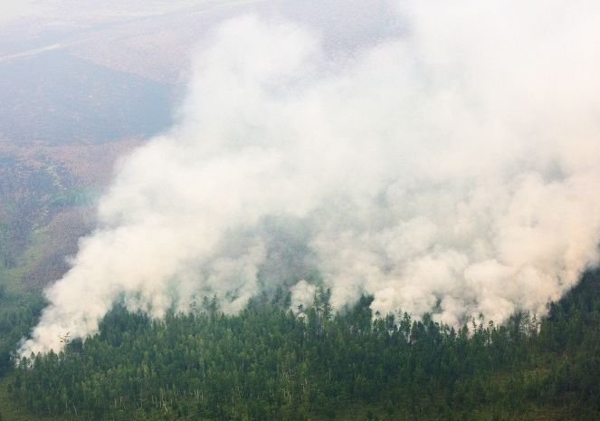 В Геленджике из-за лесных пожаров ввели режим ЧС
