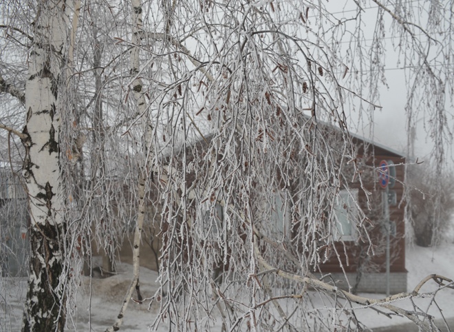В Рязанской области потеплеет до -12 °С