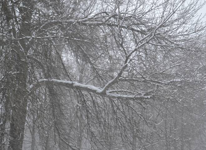В Рязанской области возможен мокрый снег