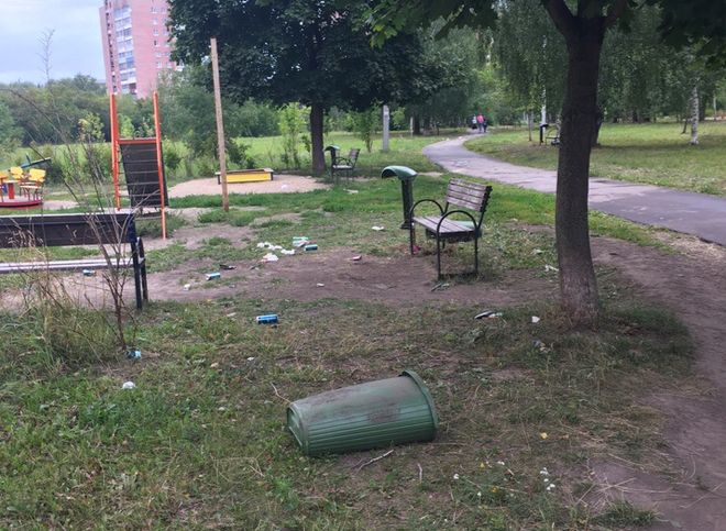 Пьяные рязанцы поломали урны в Комсомольском парке