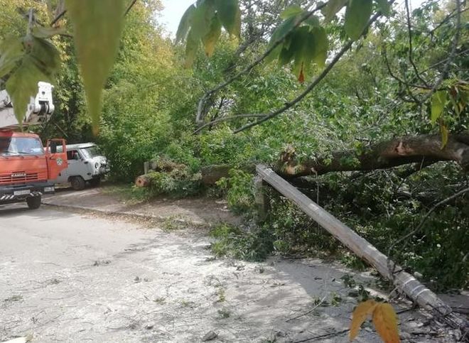 В Горроще дерево повалило столб и упало на автомобиль