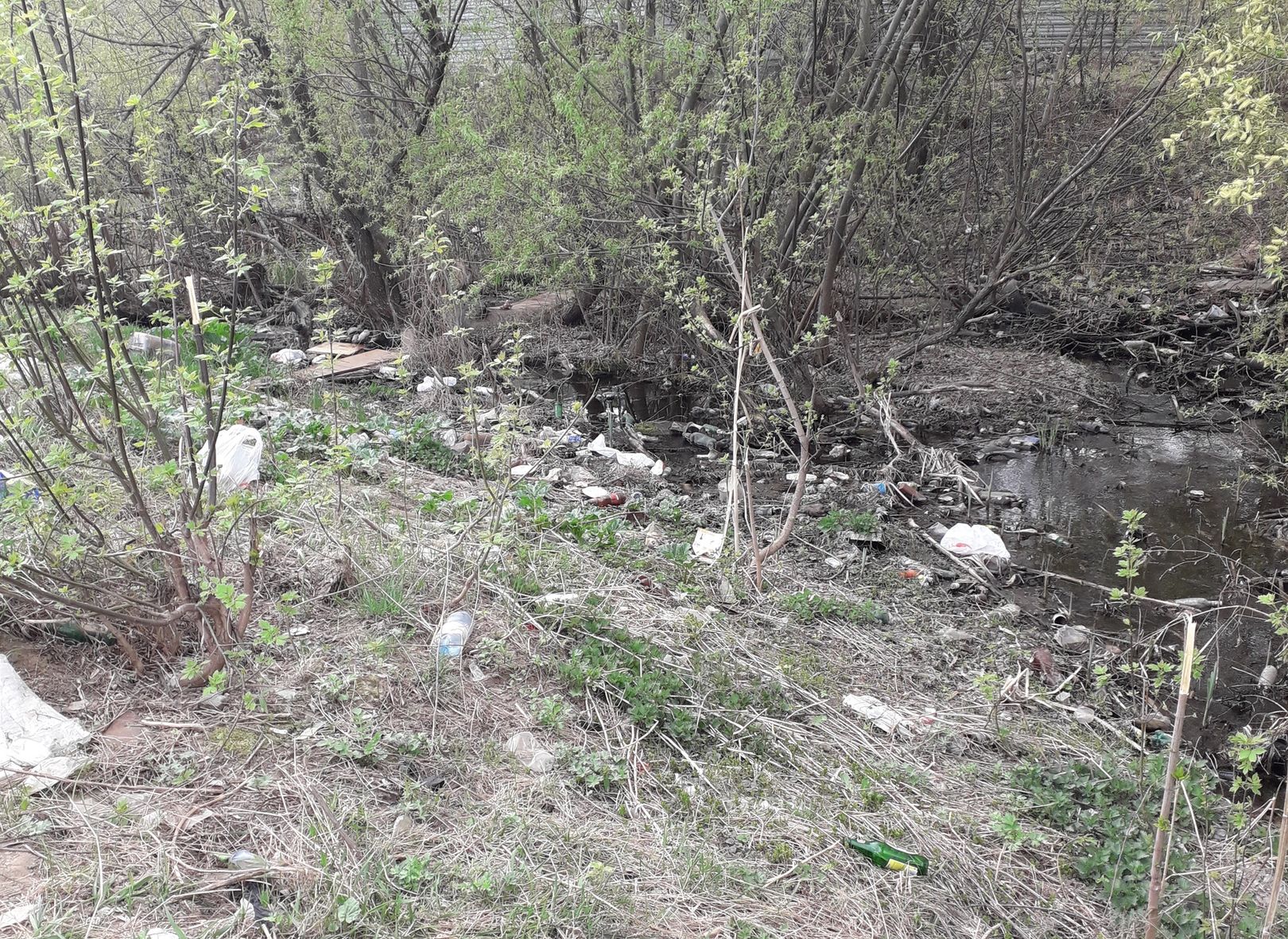 Соцсети: у Черезовского пруда образовались свалка и «кладбище домашних животных»
