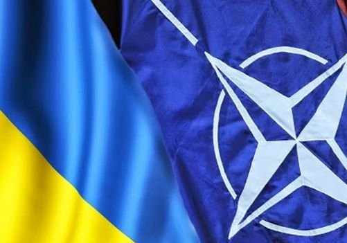 Страны НАТО пообещали Киеву «всестороннюю поддержку»