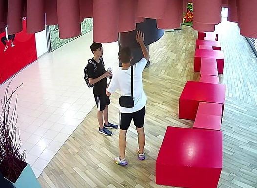 В рязанском ТРЦ «Малина» подростки повредили колонну в фотозоне
