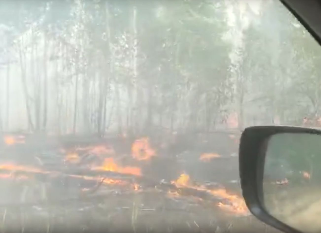 Губернатор Любимов опубликовал видео из эпицентра лесного пожара