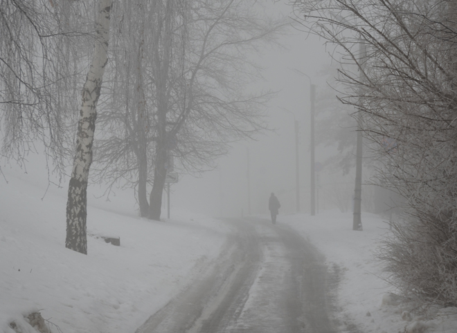 МЧС: в Рязанской области ожидается туман