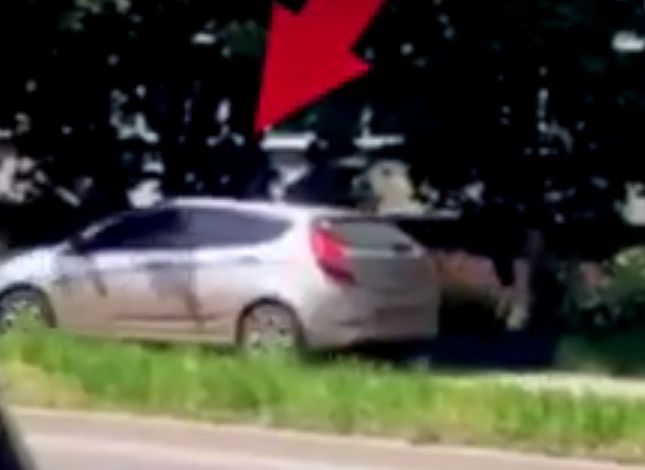 Видео: на улице Новоселов автомобиль едет по тротуару