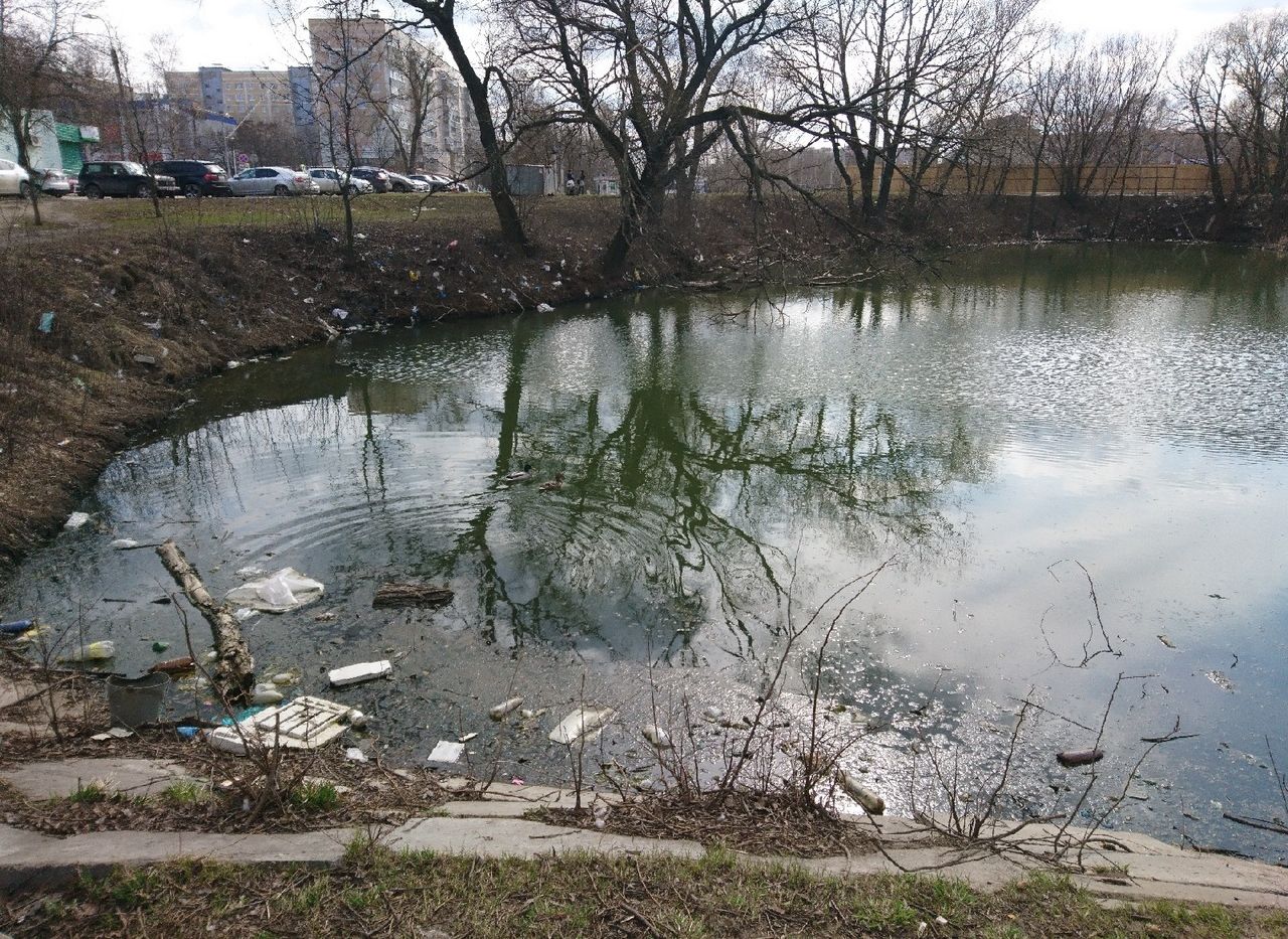 Рязанский телеканал сообщил об «экологической катастрофе» на пруду в Дашково-Песочне