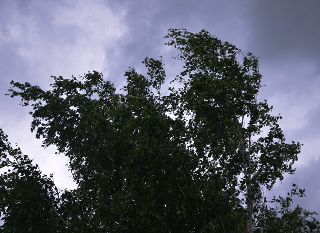 В Рязанской области объявили «оранжевый» уровень опасности погоды
