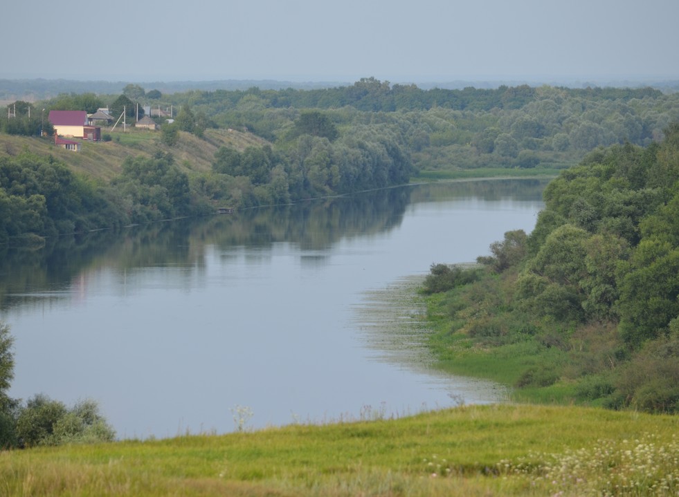 Тело погибшей жительницы Сасовского района было обнаружено в реке Цне