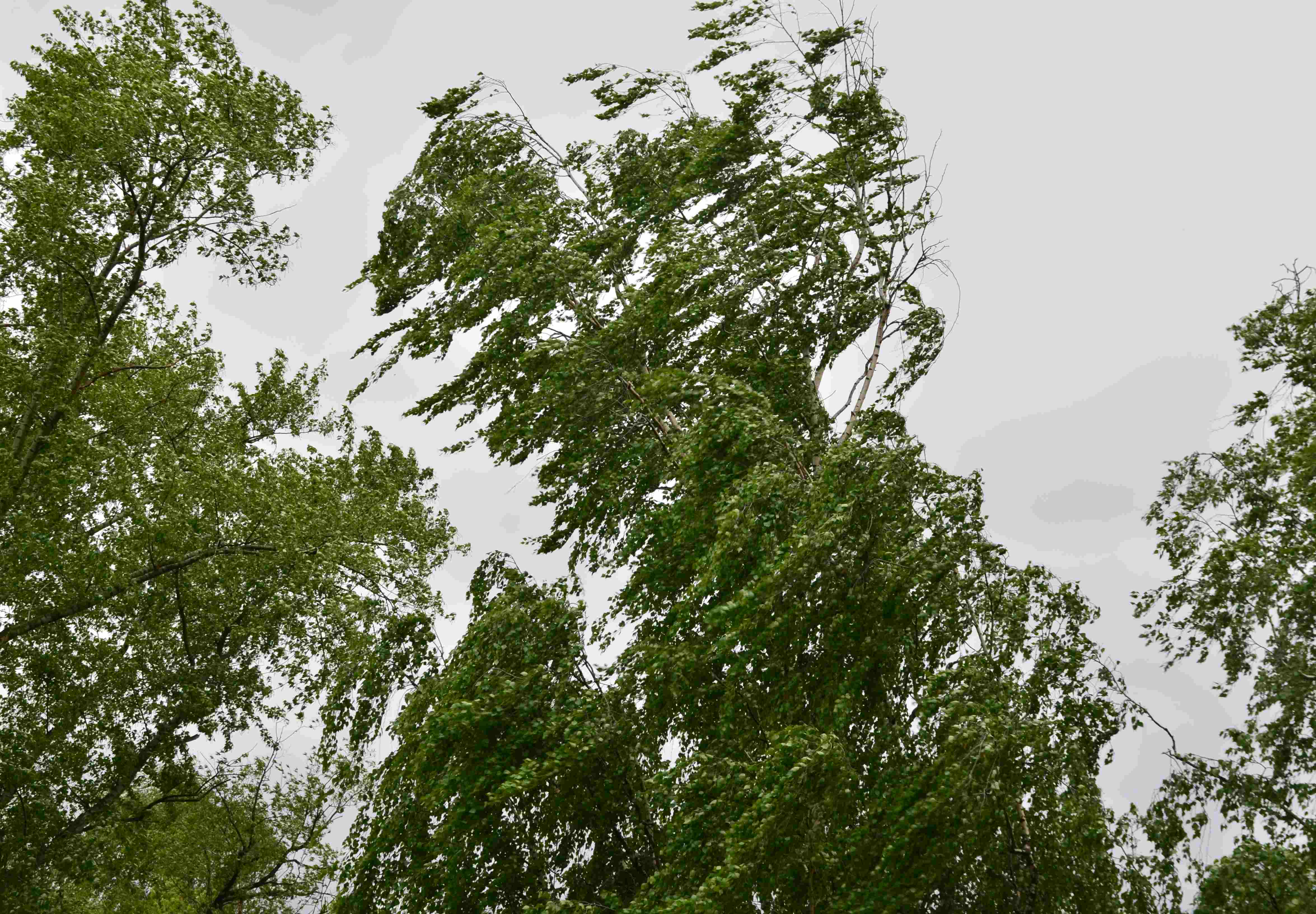 Непогода в Костроме ветер грозы
