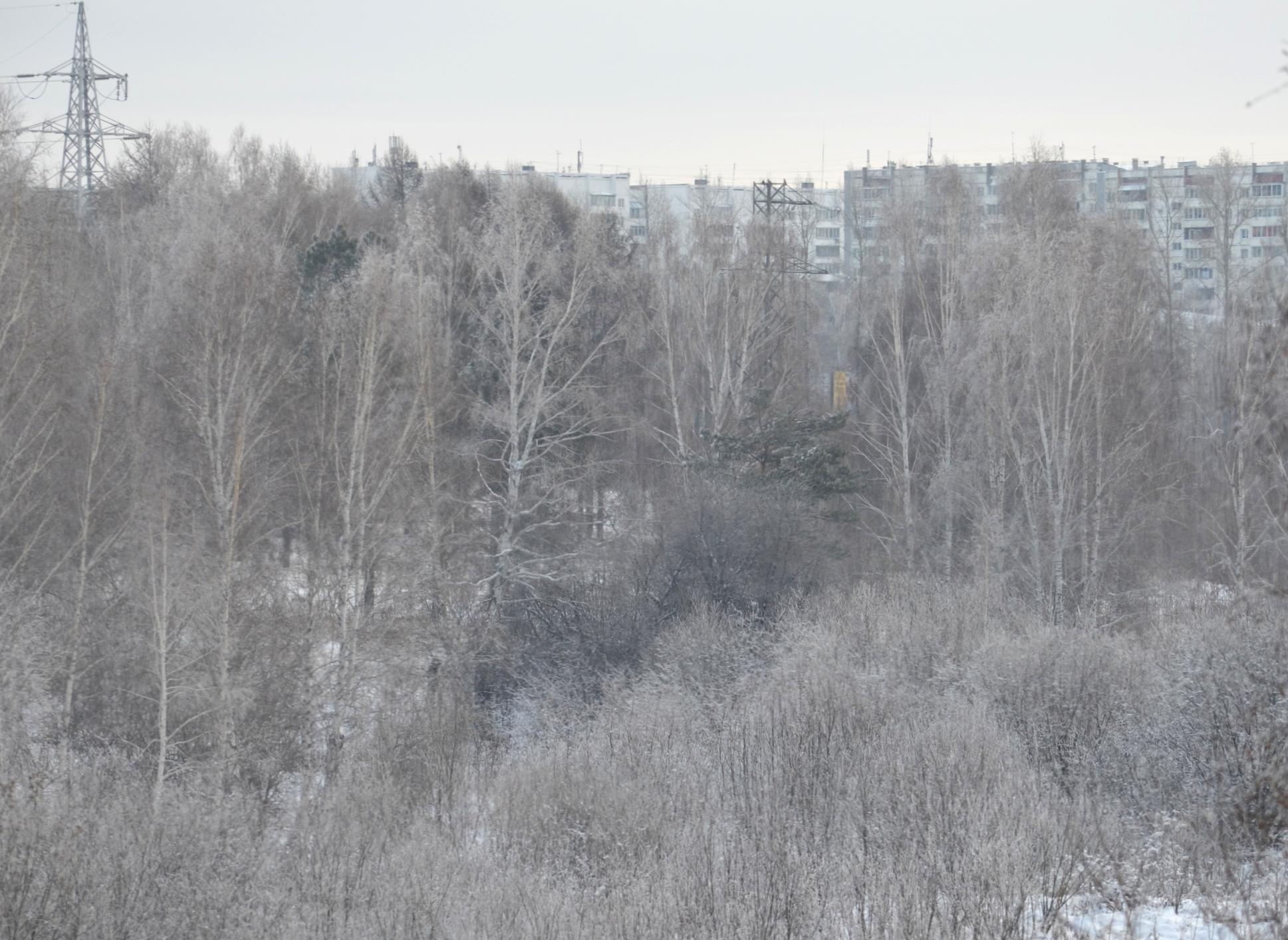 В Рязанской области объявлен «оранжевый» уровень опасности