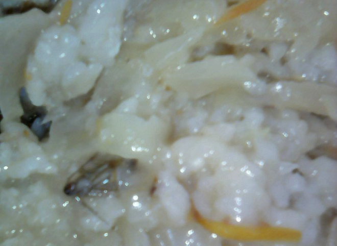 Соцсети: в Новомичуринской ЦРБ детей кормят тараканами