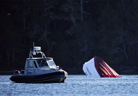 Кит потопил круизное судно в Канаде