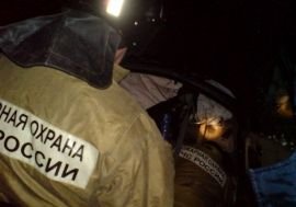 На трассе М6 в Скопинском районе столкнулись три машины
