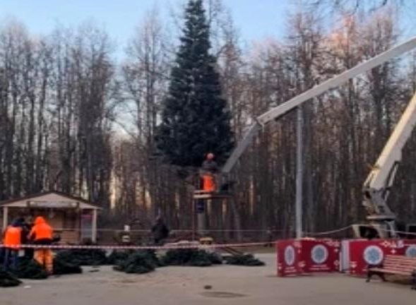 В Рязани установили первую городскую елку