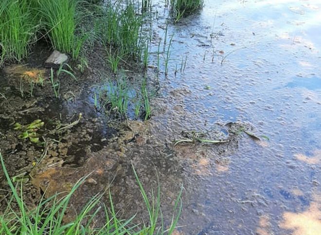 По факту слива канализации в Старицу в Солотче возбуждено административное дело