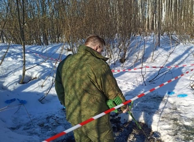 В Москве после обнаружения двух обгоревших тел возбуждено уголовное дело