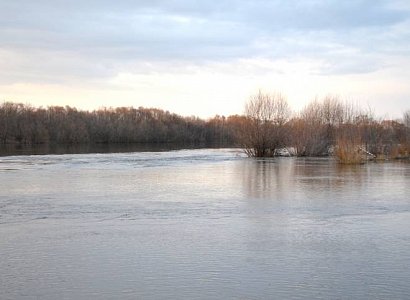 За сутки уровень воды в Оке в черте Рязани повысился на 4 см