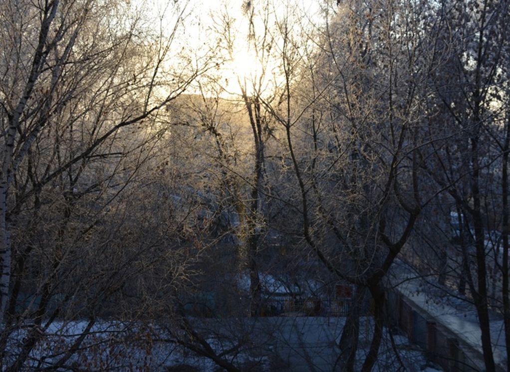 Во вторник в Рязанской области температура воздуха опустится до -7 °С