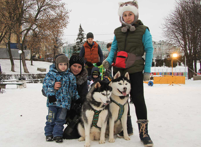 Дед Мороз подарил рязанским детям поездку в собачьей упряжке