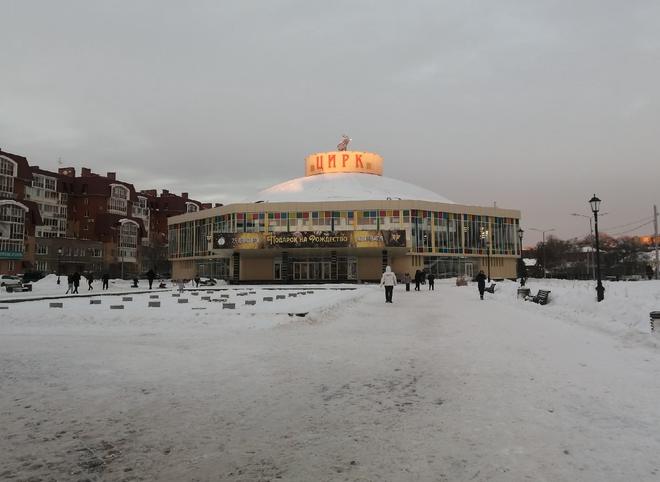 Упавшую в Рязанском цирке артистку отпустили из больницы