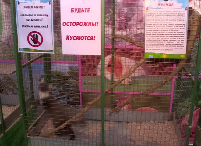 В Рязани оштрафовали три передвижные зоовыставки
