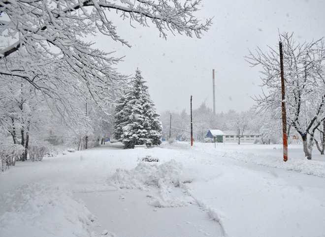 На этой неделе в Рязанской области может выпасть до 10 см снега