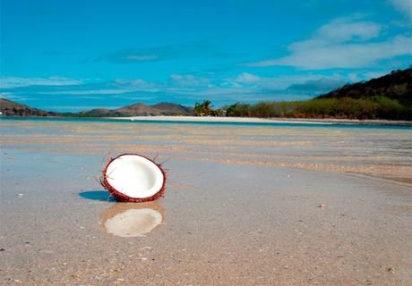 На пляже Фиджи полиция нашла человеческую голову