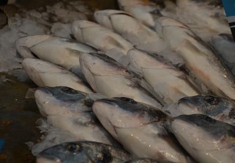 В РФ снизился импорт рыбы на 40%