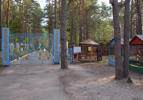 Рязанская область получит 29 млн на отдых детей