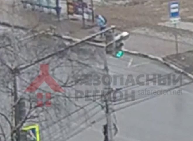 На улице Шевченко в Рязани обнаружена двухметровая змея (видео)