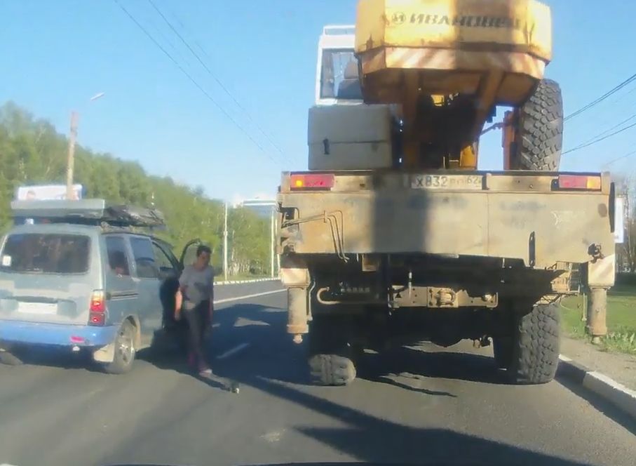 Видео: рязанка спасает котенка из-под колес автомобилей на Московском шоссе