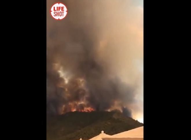 Турецкое СМИ назвало ответственных за поджоги лесов