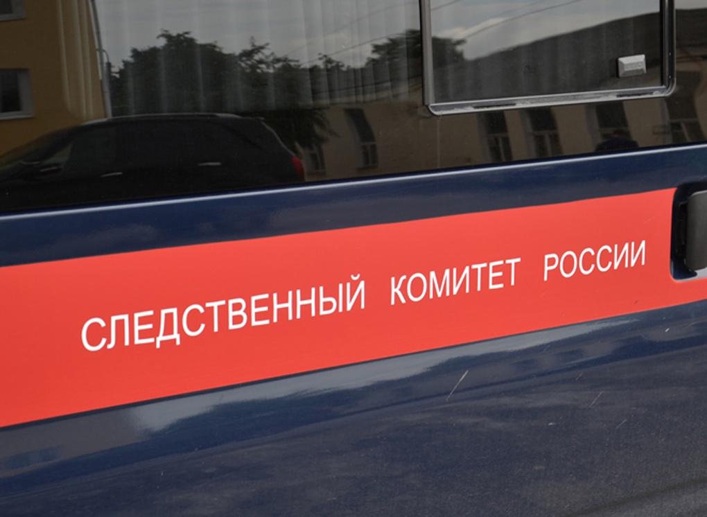 В СК подтвердили гибель пропавшей в Клепиковском районе пенсионерки