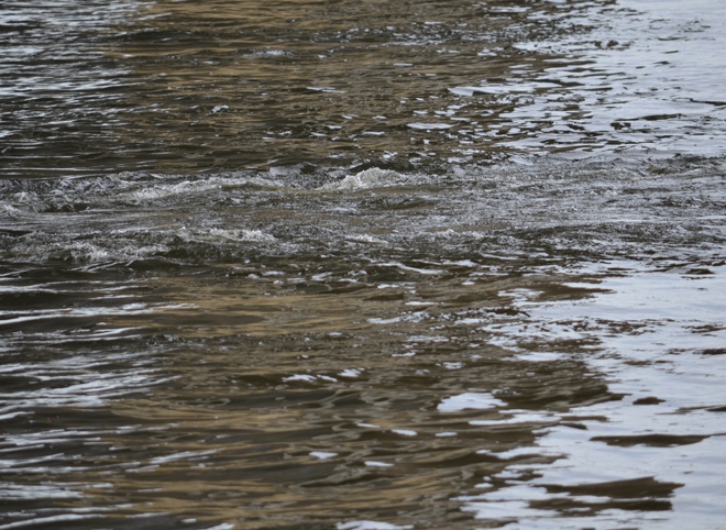 За лето на водных объектах Рязанской области утонуло 17 человек