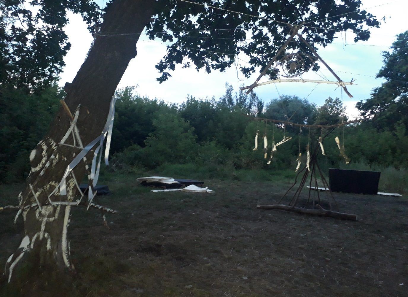 В Луковском лесу обнаружили «языческое капище»