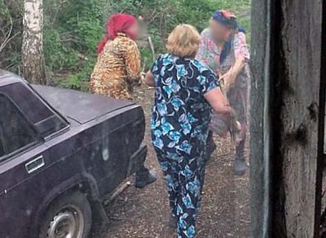 В Рязанской области 73-летняя женщина пыталась убить соседку мотыгой