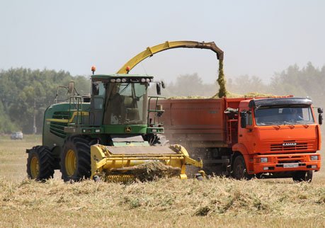 Рязанские хозяйства намолотили 484 тысячи тонн зерна