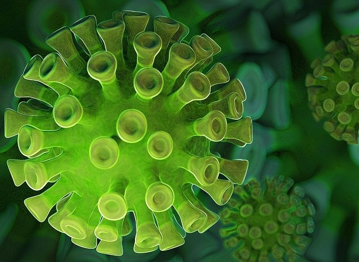 В Рязанской области еще четыре человека скончались от коронавируса