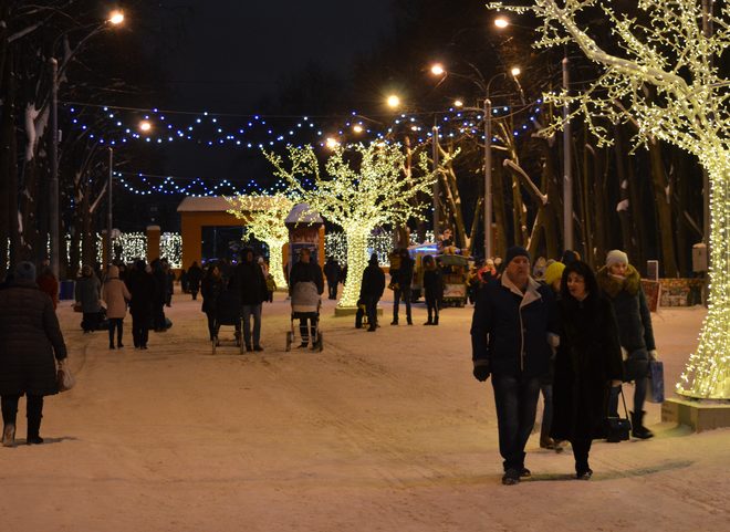 Рязанского губернатора попросили сделать 31 декабря выходным днем
