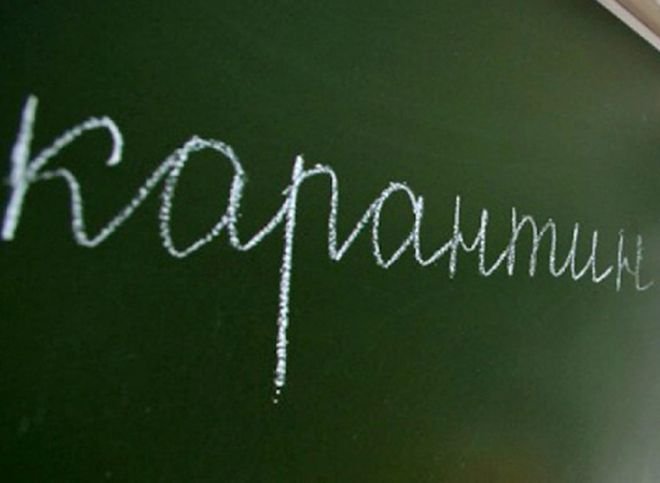 Около 2 тыс. школ в России закрылись из-за гриппа и ОРВИ