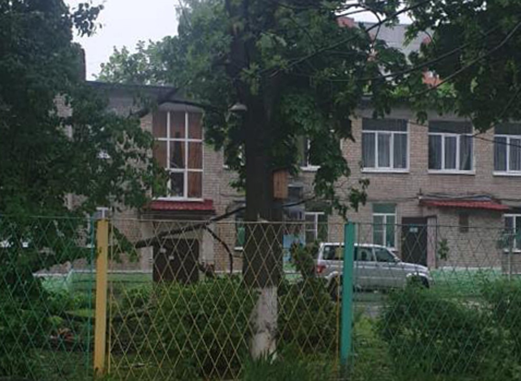 Рязанка, погибшая при падении дерева на улице Островского, шла с ребенком
