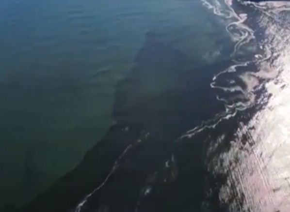 Дудь опубликовал видео разлива нефтепродуктов на Камчатке