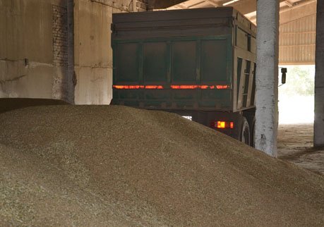 Рязанские хлеборобы намолотили 500 тыс. тонн зерна