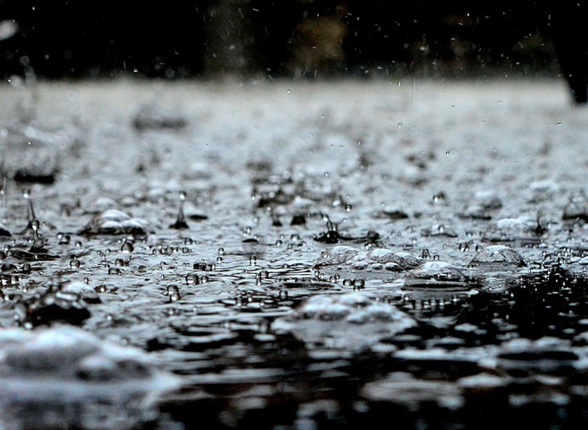 Дожди в Рязанской области продлятся до конца суток