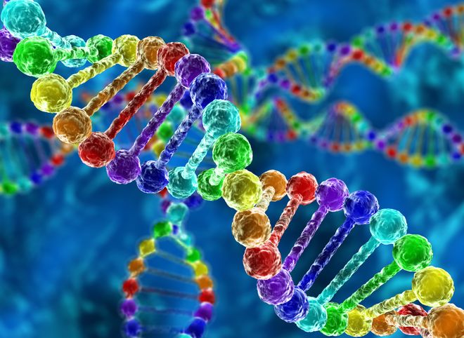 Ученые России и США создали наночастицы для редактирования ДНК
