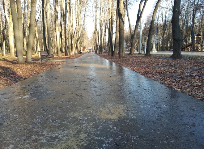 В четверг в Рязанской области похолодает до -5 °С