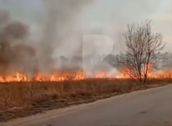 Рязанцы засняли пожар в поле рядом с Нефтезаводом